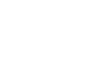 ilsole24ore logo